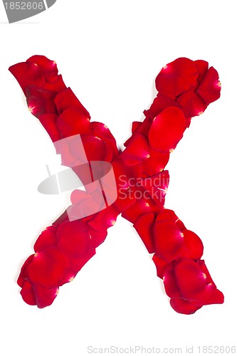 Image of Letter X made from red petals rose on white