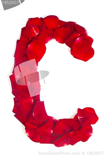 Image of Letter C made from red petals rose on white