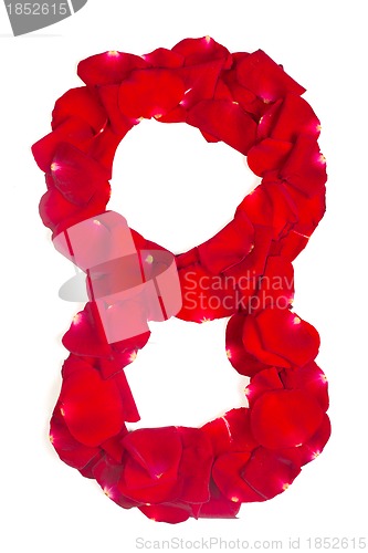 Image of number 8 made from red petals rose on white