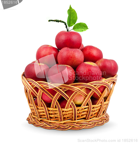 Image of 
Basket of apples