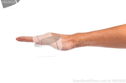 Image of Open palm hand gesture of male hand