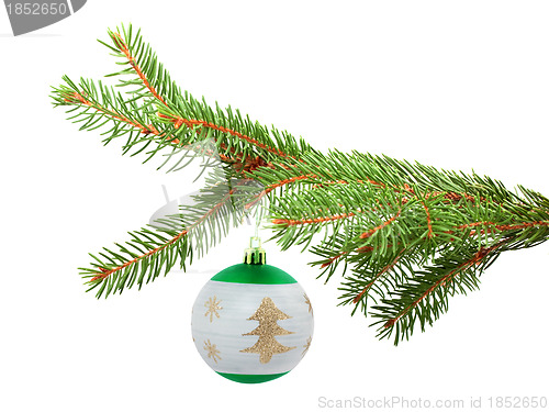 Image of Branch with a Christmas toy
