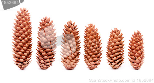 Image of Cones