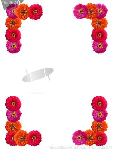 Image of Petals