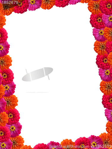 Image of Petals