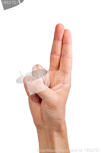 Image of Hand gesture number four closeup isolated on white