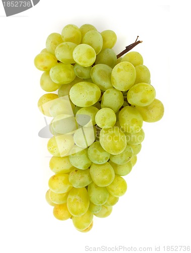 Image of Grape