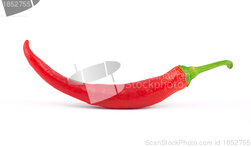 Image of Red pepper