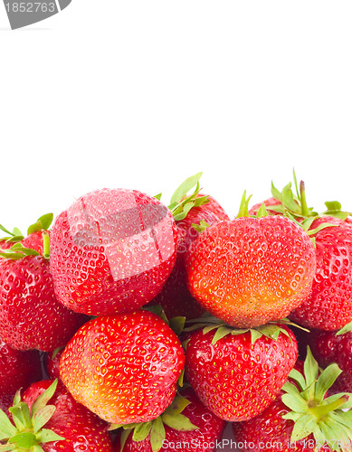 Image of Fresh strawberries