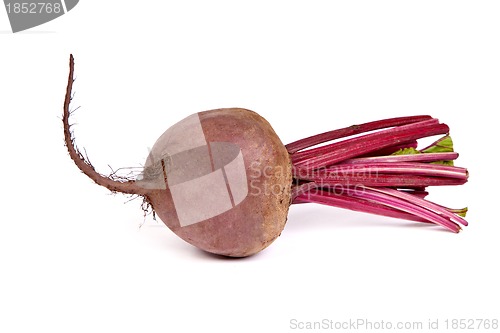 Image of Fresh red beet isolated on  white