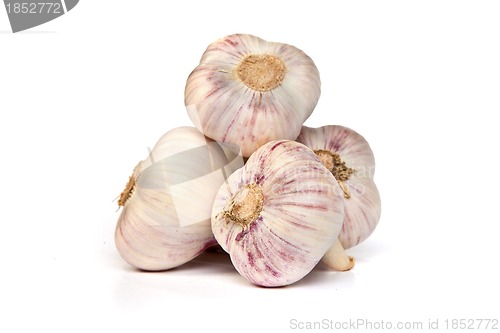 Image of Group of garlics . A heads of garlics isolated