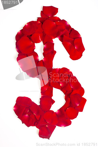 Image of Symbol dollar made from red petals rose.