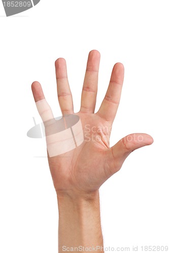 Image of Hand gesture number five closeup isolated on white