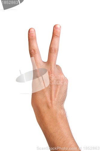 Image of Hand gesture number four closeup isolated on white