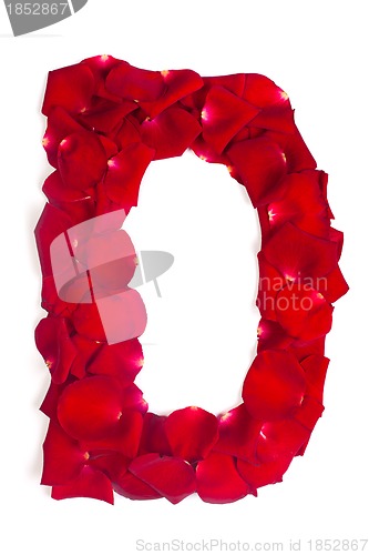 Image of Letter D made from red petals rose on white