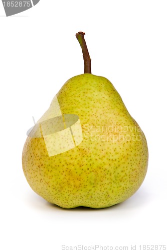 Image of Åasty ripe green pear isolated on white