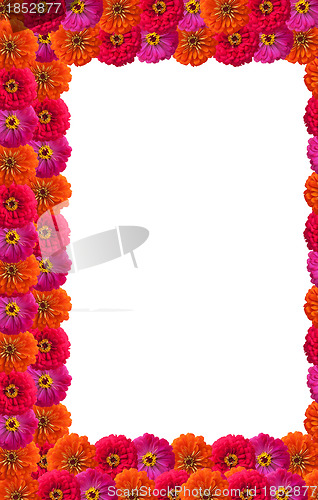 Image of Petals