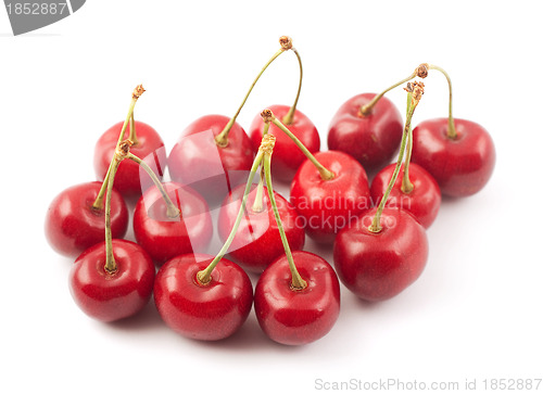 Image of Red cherries