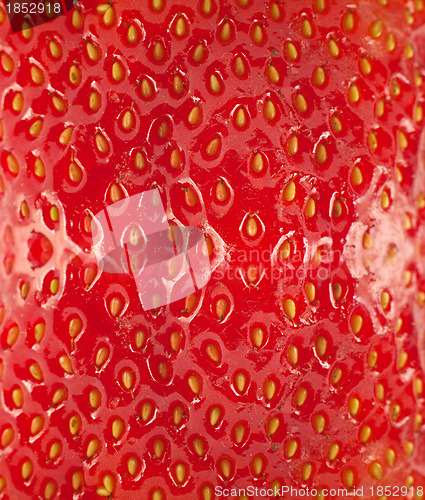 Image of Detailed surface of strawberry