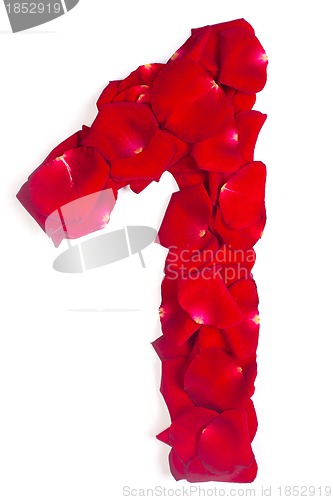 Image of number 1 made from red petals rose on white