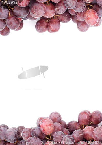 Image of Grape