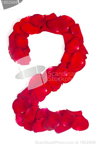 Image of number 2 made from red petals rose on white