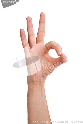 Image of Hand  is showing OK sign isolated on white