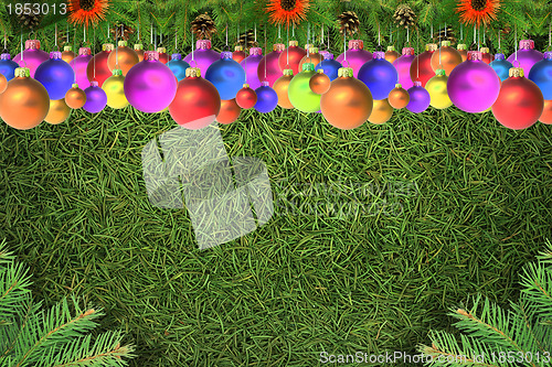 Image of Christmas spruce  texture