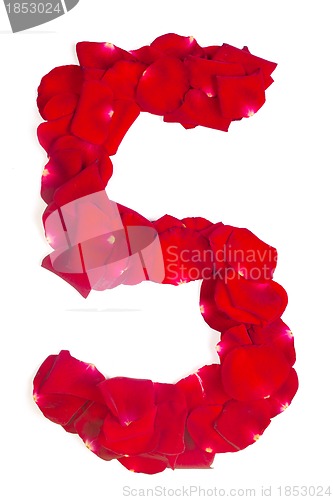 Image of number 5 made from red petals rose on white