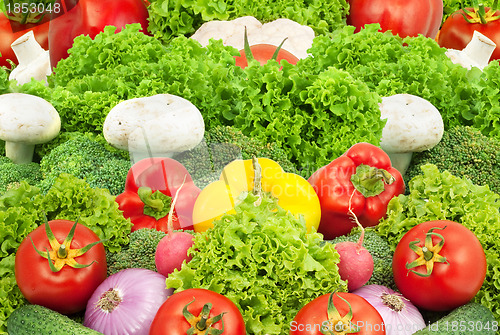 Image of Assorted fresh vegetables