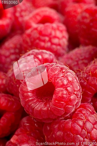 Image of Ripe rasberry background. Close up macro shot of raspberries