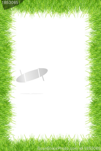 Image of Grass