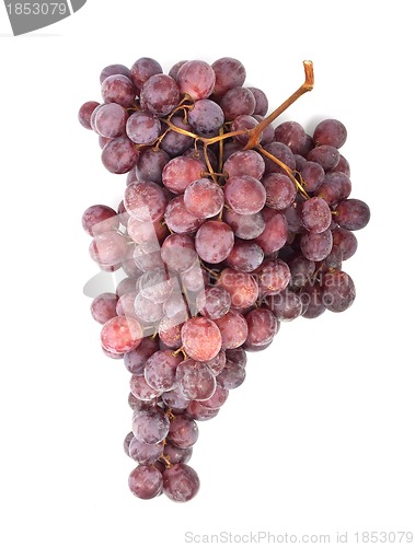 Image of Grape