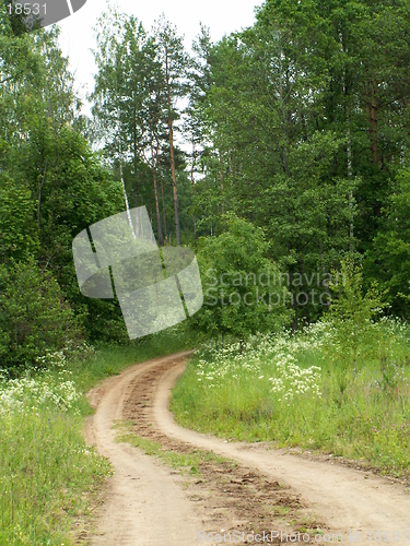 Image of road in Latgalia (Latvia)