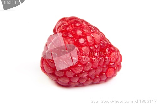Image of Single fresh raspberry, isolated on  white. Close up macro shot