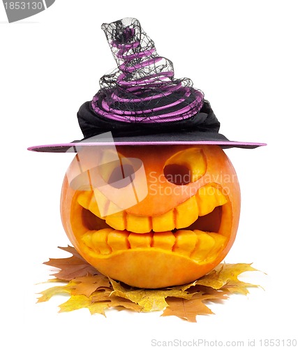 Image of Halloween pumpkin