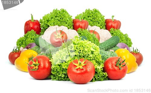 Image of Assorted fresh vegetables