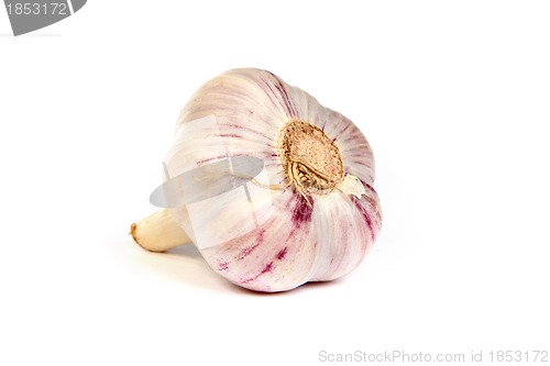 Image of A head of garlic isolated on white