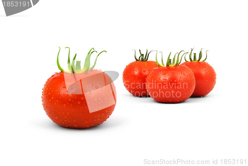 Image of Tomatos