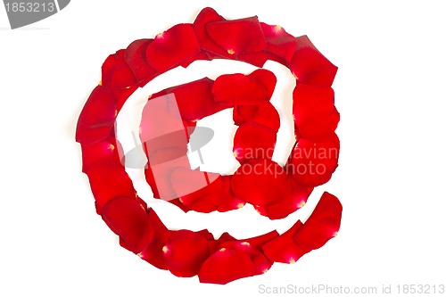 Image of e-mail symbol  made from red petals rose on white