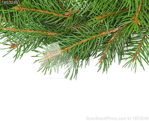 Image of Christmas framework