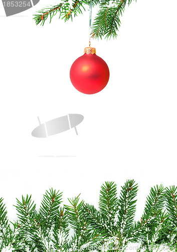 Image of Branches with a Christmas toy