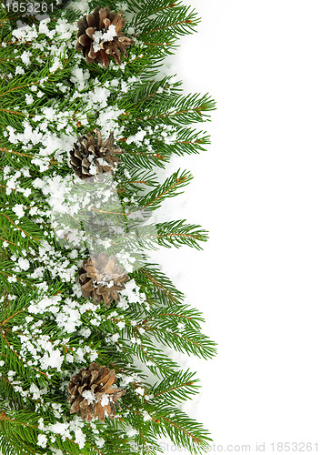 Image of Christmas framework with snow and cones