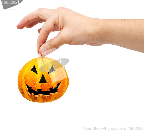 Image of Halloween pumpkin