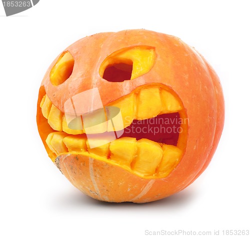 Image of Halloween pumpkin