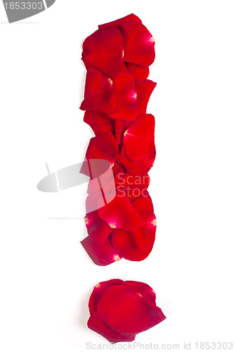 Image of Exclamation sign made from red petals rose on white