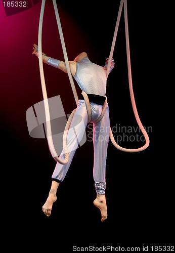 Image of Acrobat