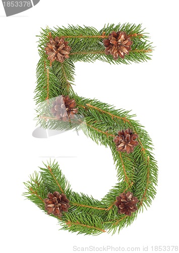 Image of NUMBER 5
