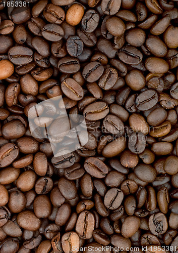 Image of Background of coffee bean
