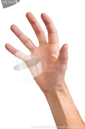 Image of Male hand reaching for something on white